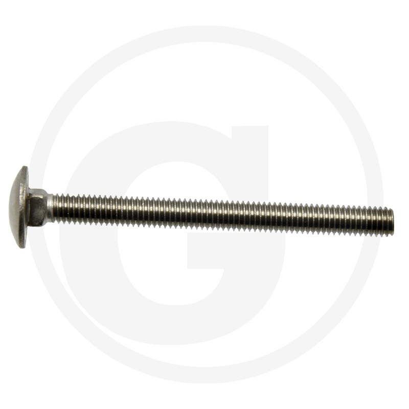 VPE1 Schlossschraube,DIN603,V2A,M06x070